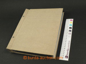68205 - 1919-30 CZECHOSLOVAKIA 1918-39 remaining business supply of