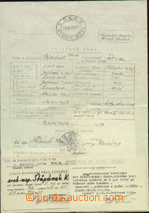 68702 - 1938-39 dokumenty k vojenské službě v čsl. armádě pro