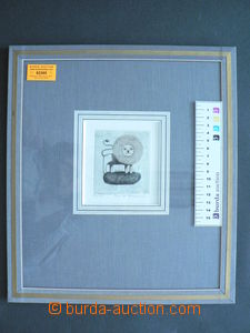 82385 - 1980 TOMANOVÁ Emilie (1933-1994): Lvíček, suchá jehla, 93/10