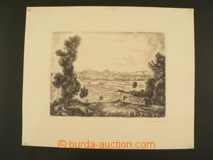 85404 - 1930? BRENDER?: Brno, general view, gravure, print format 30