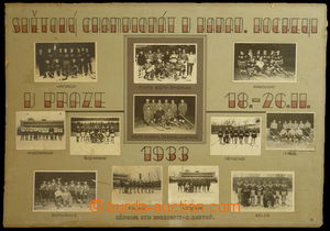 91090 - 1933 SPORT / ICE HOCKEY nástěnné tableau with 12 photos