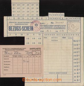 93049 - 1945 JUDAICA / C.C. TEREZIN-THERESIENSTADT vaccination card