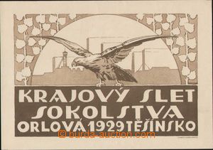 93963 - 1929 SOKOL Sokol festival, Orlová, Teschen Silesia, falcon