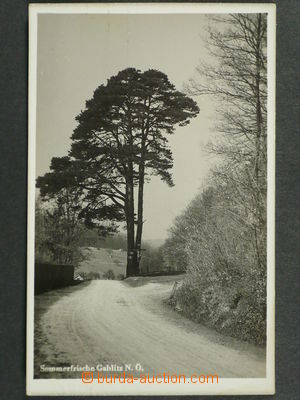 97475 - 1935 GABLITZ - fotopohlednice, partie u lesa, prošlá, dobr