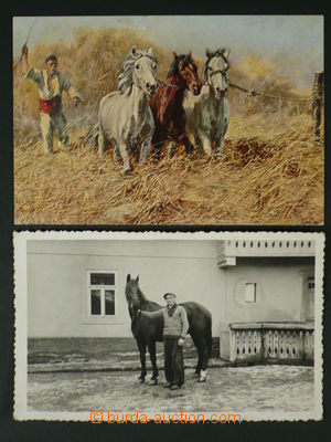 97483 - 1915-25 koně, sestava 2ks pohlednic, nepoužité, dobrý st