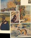28097 / 1984 - Philately / Czechoslovakia 1945-1992 / Postal Stationery CZE 1945-1992 / Picture Cards with Postmark