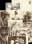 28968 / 1987 - Philately / Czechoslovakia 1945-1992 / Postal Stationery CZE 1945-1992 / Picture Cards with Postmark