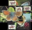 37827 / 2652 - Philately / Other Philatelic Domains / Maximum Card