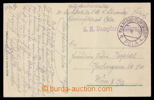 103545 - 1918 S.M. DAMPFER LIBURNIA, fialové řádkové razítko na 