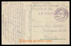 103545 - 1918 S.M. STEAMER LIBURNIA, violet straight line postmark on