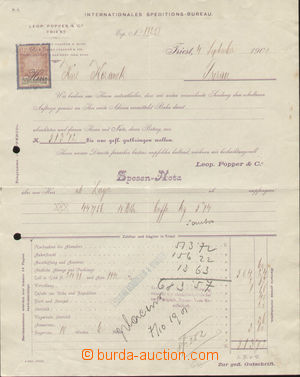 104037 - 1901 Maxa P45, invoice with documentary stamp 10h with perfi