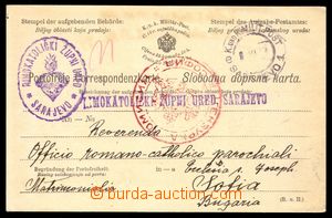 104451 - 1917 BOSNIA AND HERZEGOVINA úřední dopisnice osvobozená 