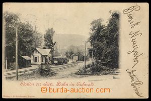 108021 - 1898 DUBÍ (Eichwald) - nádraží, vlak, vydal Friedmann, T