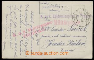 109257 - 1915 EPIDEMIESPITAL TROPPAU  violet straight line postmark o