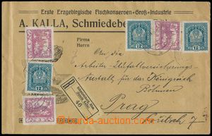 124256 - 1919 Maxa A36, commercial identification letter franked with