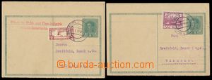 124463 - 1919 CPŘ3, Charles 8h with perf for typewriter, 2 pcs of wi