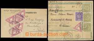 124619 - 1918-19 comp. 2 pcs of entires franked with. Austrian expres