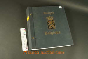 130056 - 1849-1945 [COLLECTIONS]  nice collection on album sheets in 