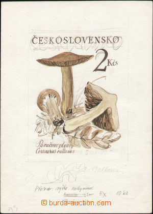 136368 - 1989 SASKA J.: color stamp design issue Mushrooms on sheet A