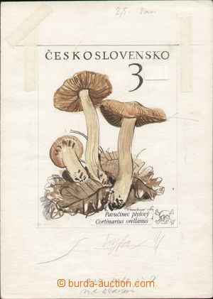136369 - 1989 SASKA J.: color stamp design issue Mushrooms on sheet A