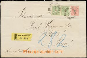 136714 - 1883 2x heavier Reg letter in the place with Mi.45 2x, 46, C