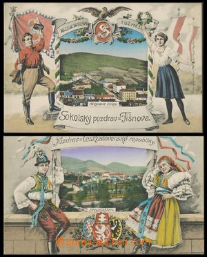 139235 - 1920 TIŠNOV - sestava 2ks kolážových pohlednic sokolský