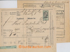 146344 - 1873-77 nákladní list s vtištěným kolkem emise 1875, po