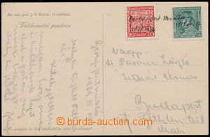 150773 - 1939 occupation  / ČINADIEVO  postcard franked with. Czecho