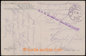 157274 - 1917 KuK DONAUFLOTTILLENKOMMANDO, řádkové fialové raz. n