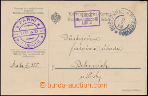 158439 - 1913 LIDICE / LIDITZ, purple framed pmk of Postal Agency, ca