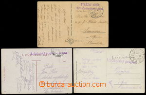 161491 - 1919 sestava 3ks pohlednic s razítky sokolských útvarů: 