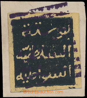 167657 - 1889 WITU PROTEKTORÁT - Suahelský Sultanát, výplatní Mi