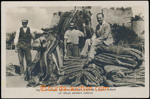 167893 - 1929 BERGER&MUNK - prodej perských koberců, čb fotopohled