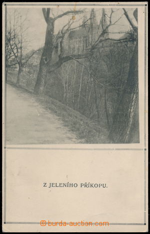 168026 - 1919 PRAGUE - Z Jeleního příkopu; Un, light wrinkled corn