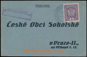 168280 - 1919 tiskopis vyfr. zn. Koruna 3h, DR DUBICKO NA MORAVĚ 28.