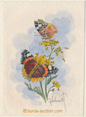 171499 - 1961 Butterflies, gravure babočka admiral from J. Schmidt, 