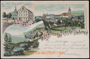 172334 - 1898 ČESKÁ TŘEBOVÁ - vícezáběrová barevná lito, mj.