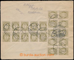 177208 - 1916 dopis do Švýcarska vyfr. 20x Mi.75A, 1Ore olivová, D