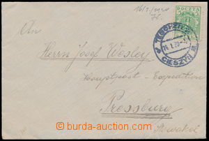 187663 - 1920 POLSKÝ occupation   letter sent from Těšín to Brati
