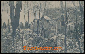 188228 - 1913 SUŠICE NA Š. - Jewish cemetery, single-view; Un, very