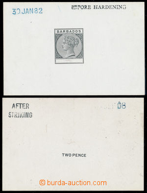 191010 - 1882 ZT pro emisi SG.89-104, Viktorie, tisk definitivní ryt