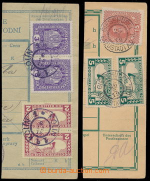191275 - 1918-1919 EXPRESS OBDÉLNÍK / comp. 2 pcs of cuts dispatch 