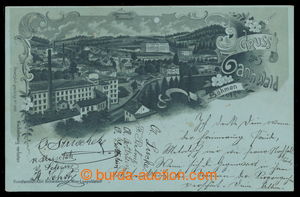 196948 - 1898 TANVALD (Tannwald) - pohled na město, litografie; DA, 