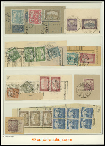 203302 - 1918-1919 PARLAMENT / 13 pcs of cut-squares from telegrams a