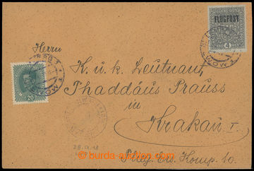 204140 - 1918 LEMBERG - KRAKAU  Let-dopis z 28.9. 1918, vyfr. zn. Kar