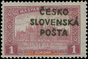 205338 -  Pof.RV162, Žilina issue (Šrobár's overprint) 1 Koruna br