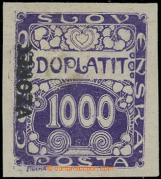205363 - 1919 Pof.DL13vz, Ornament 1000h violet with overprint VZOREC