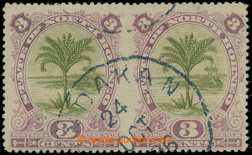 210100 - 1894 SG.70a, pair Palm 3C olive green / dull purple, horizon