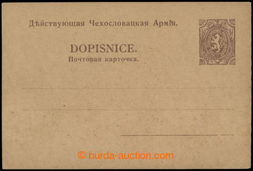 213895 - 1919 CRV23, Military, sibiřské issue Lion, larger format 1