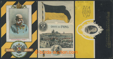 214299 - 1907-1908 FRANZ JOSEF I., sestava 3ks různých pohlednic vy